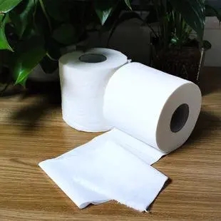 厦门卷纸厂家说说水溶性纸巾与不溶性纸巾的比较